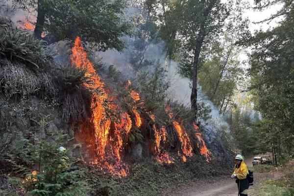 Prescribed Fire with CCPBA